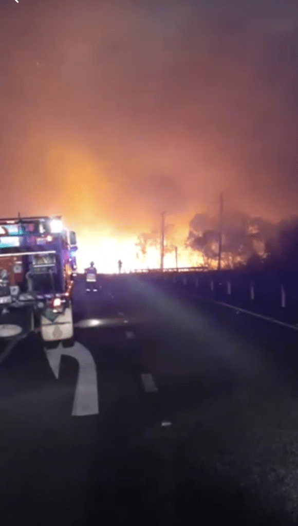 Sometimes the kids start bushfires when they get bored.